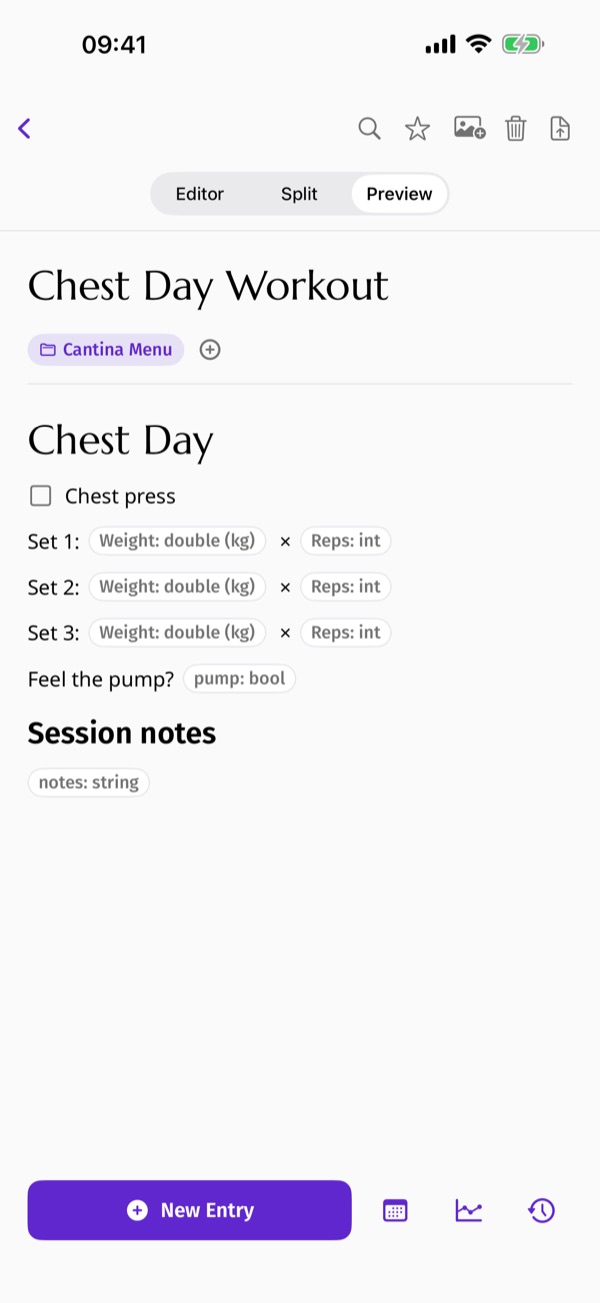 A reusable Toplin template with fillable fields for a gym session