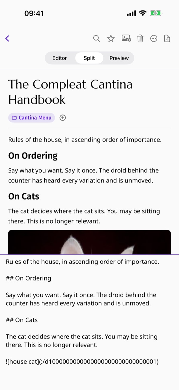 Toplin's split-view editor: Markdown on the left, the typeset article on the right